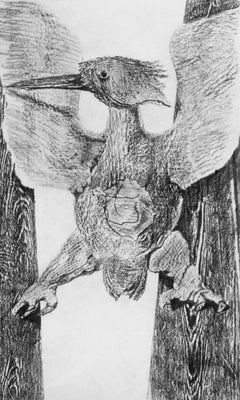 Ernst, Composition (Spies/Leppien 222), Histoire Naturelle (after)