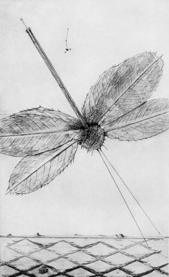 Ernst, Composizione (Spies/Leppien 222), Histoire Naturelle (dopo)