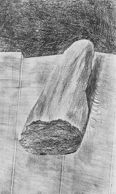Ernst, Composition (Spies/Leppien 222), Histoire Naturelle (after)
