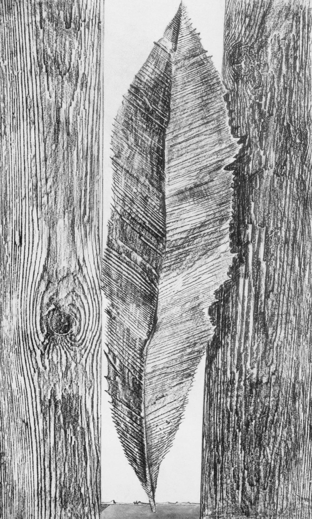 Max Ernst Landscape Print - Ernst, Composition (Spies/Leppien 222), Histoire Naturelle (after)