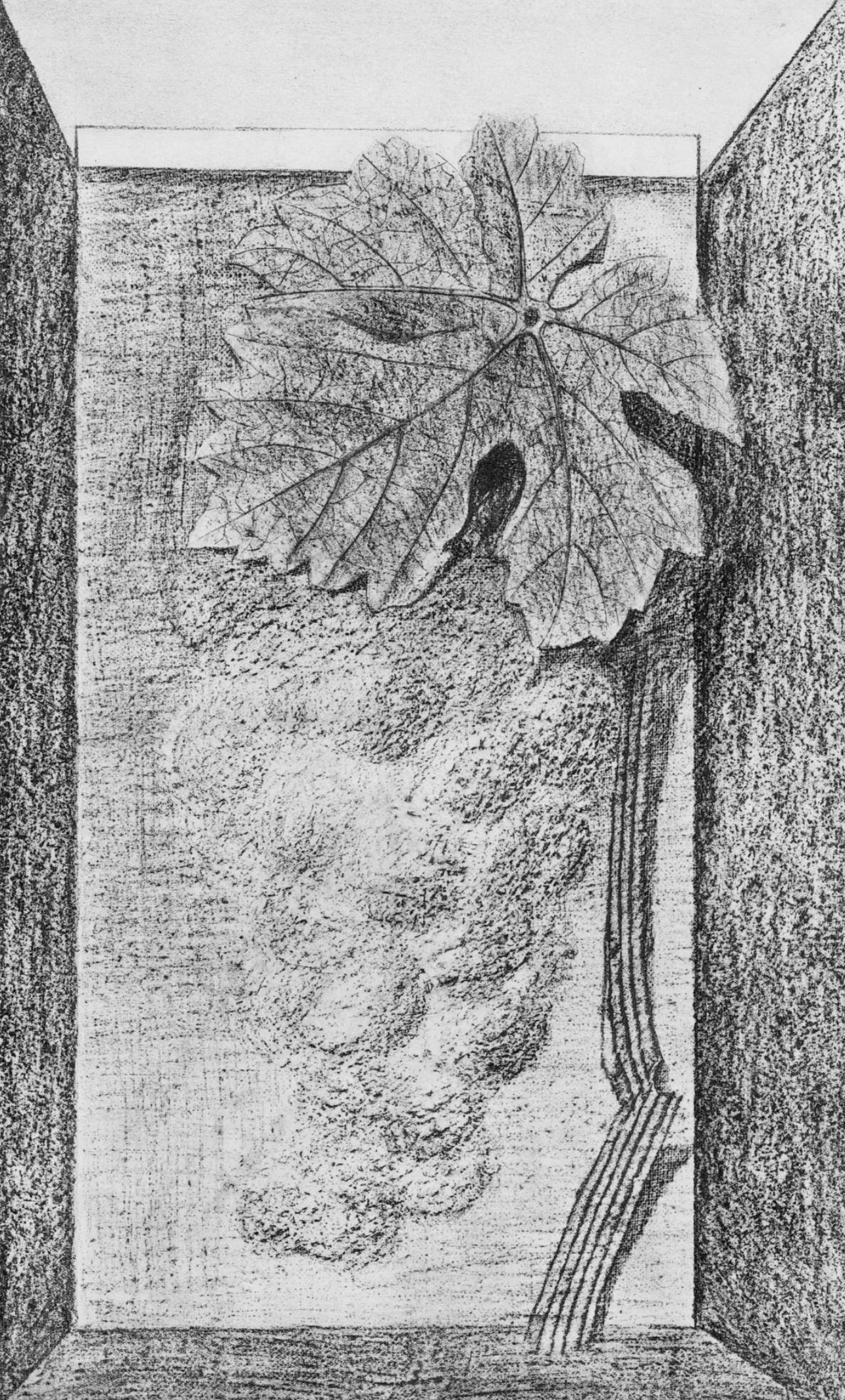 Landscape Print Max Ernst - Ernst, Composition (Spies/Leppien 222), Histoire naturelle (après)