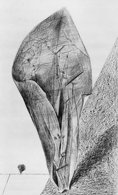 Ernst, Komposition (Spies/Leppien 222), Histoire Naturelle (nach)