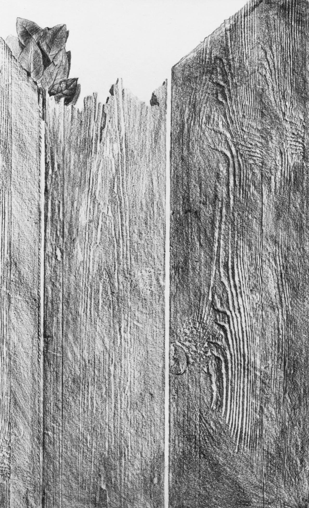 Collotype from frottage on vélin paper. Unsigned and unnumbered, as issued. Good condition. Notes: From the album, Max Ernst, Histoire Naturelle, 1972. Published and printed by Verlag Gerd Hatje, Stuttgart, 1972. Excerpted from the album (translated