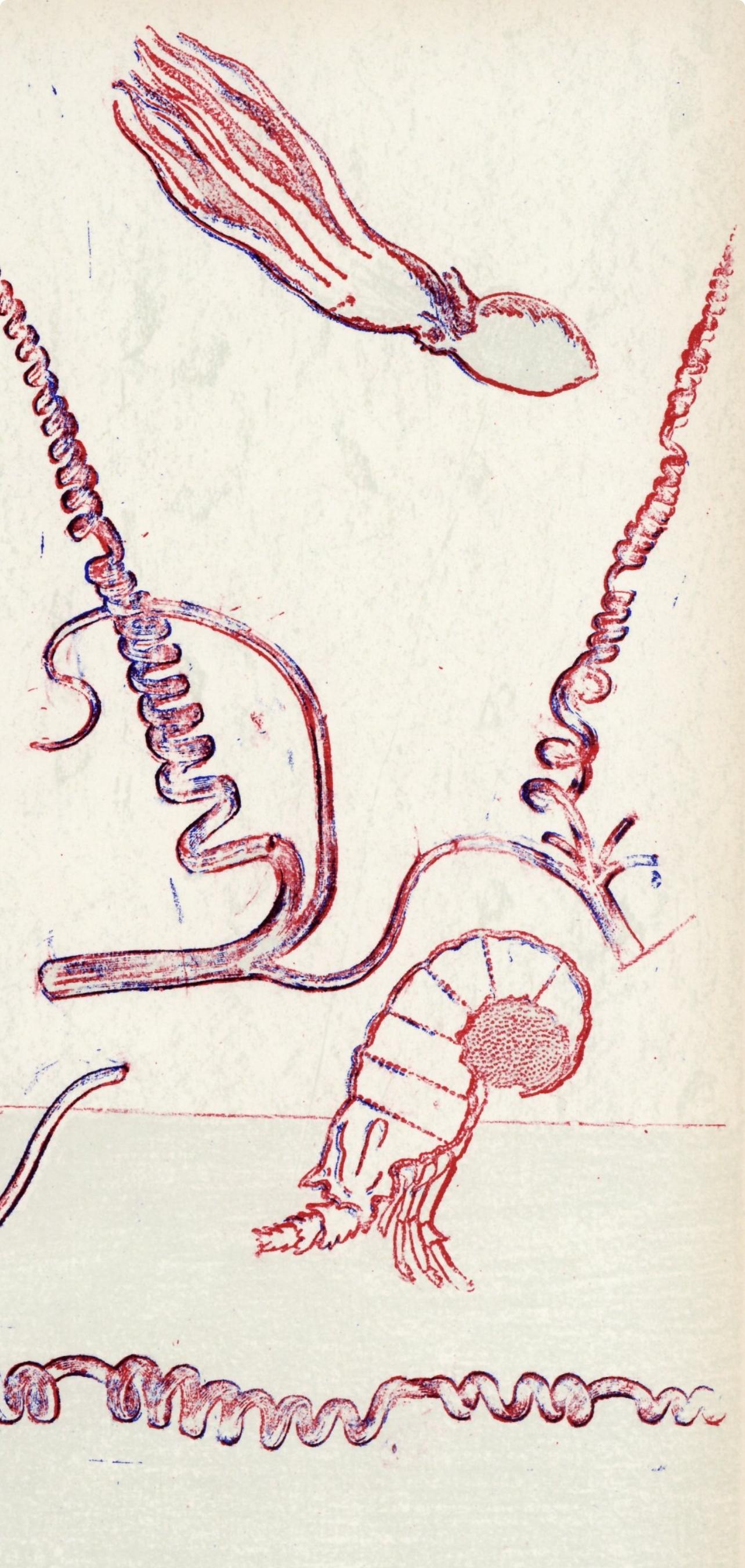 Ernst, Composition (Spies/Leppien 252), XXe Siècle (after) - Beige Figurative Print by Max Ernst