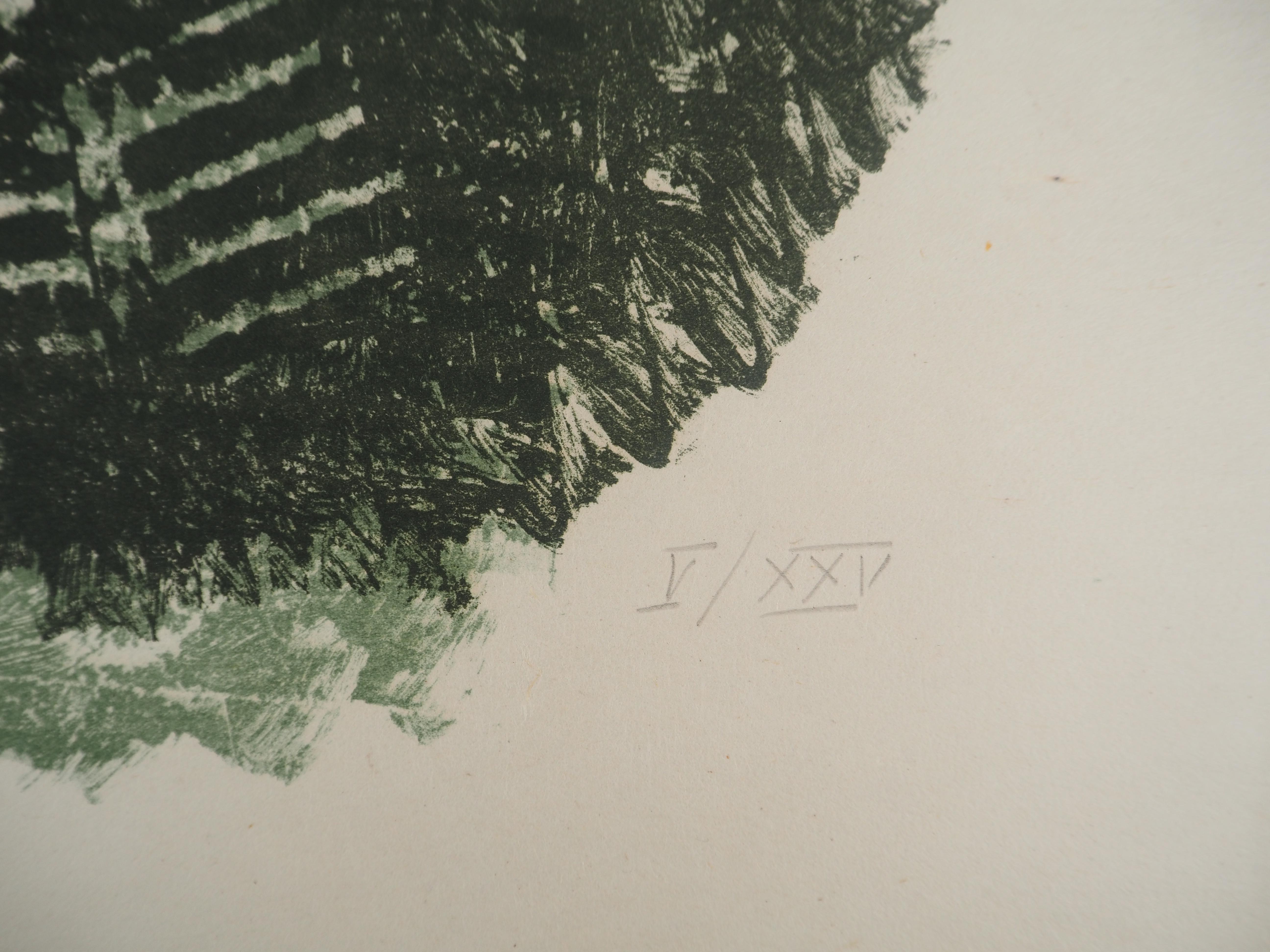 Ficus Elastica - Original lithograph - Limited / 25 copies For Sale 2