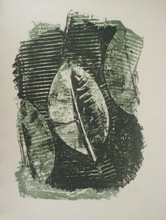 Ficus Elastica - Original lithograph - Limited / 25 copies