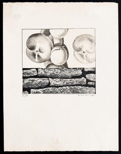 Max Ernst (1891-1976) - Fruits défendus - Fotolithographie auf Papier - 1968
