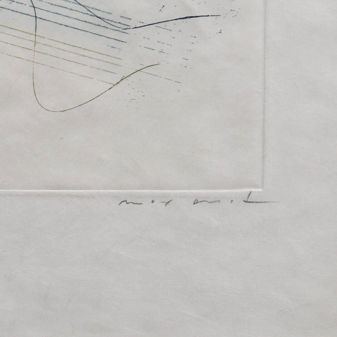 Max Ernst (1891 - 1976) - L'extreme Occidentale - Etching on paper - 1961 For Sale 2