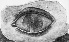 Max Ernst, The Wheel of Light, from Natural History, 1972 (after)