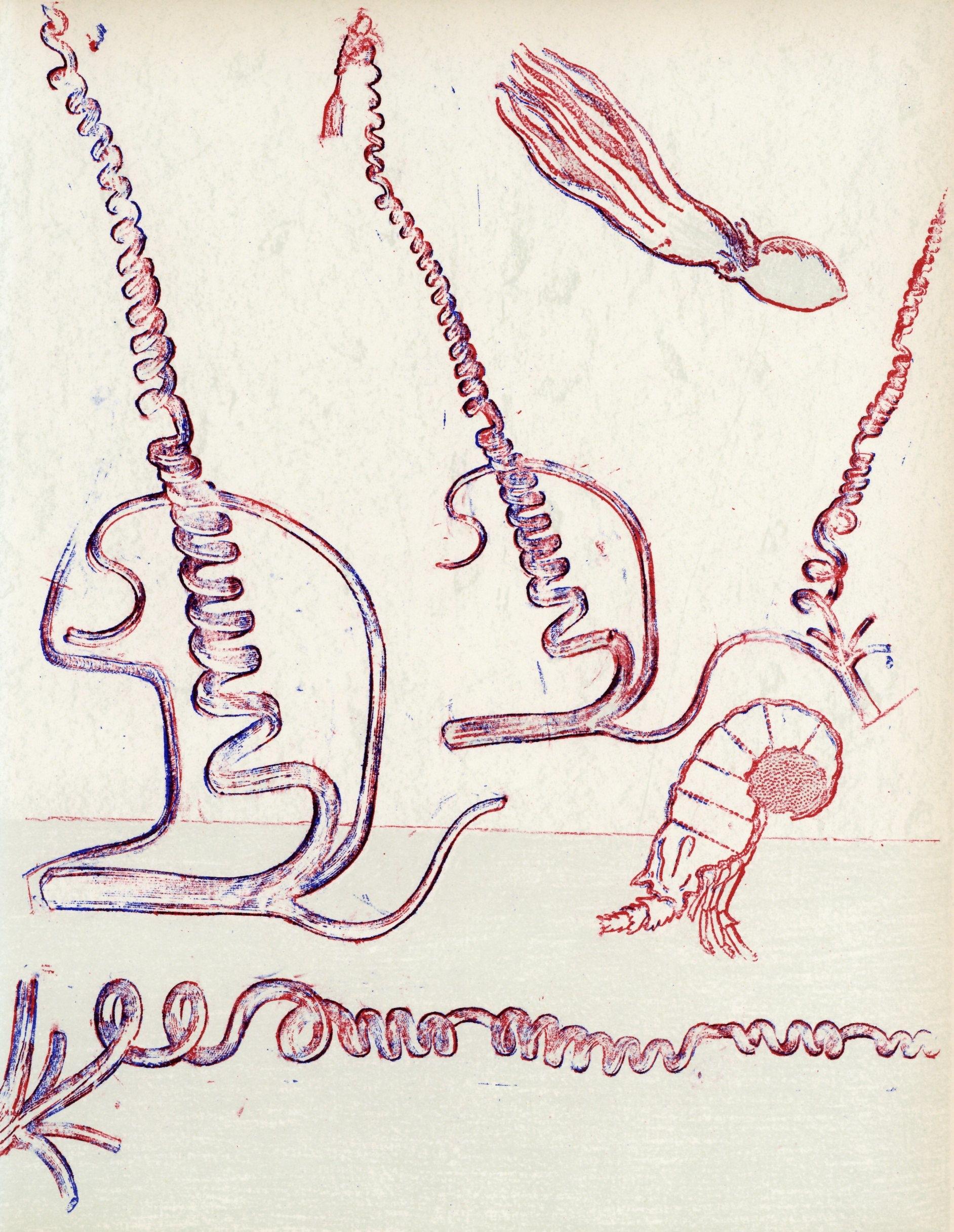 Max Ernst Figurative Print - original lithograph
