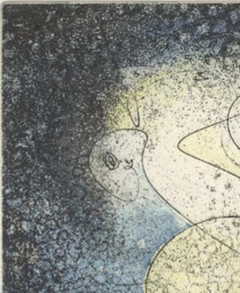 aguafuertes max ernst