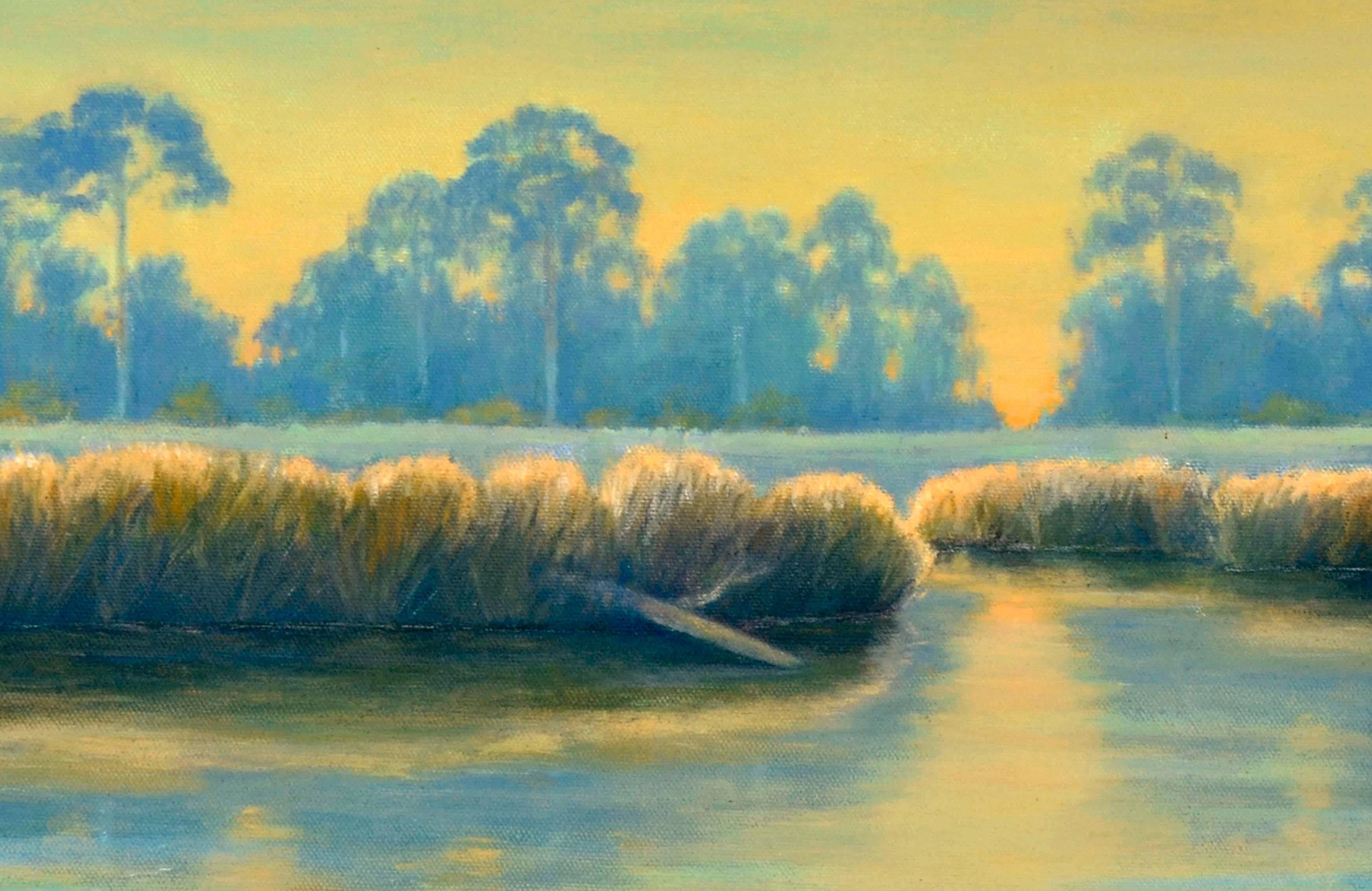 bayou landscape