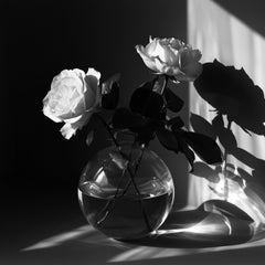 Floral Noir: Rose Composition 17