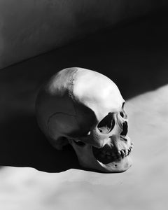 Skull 1 