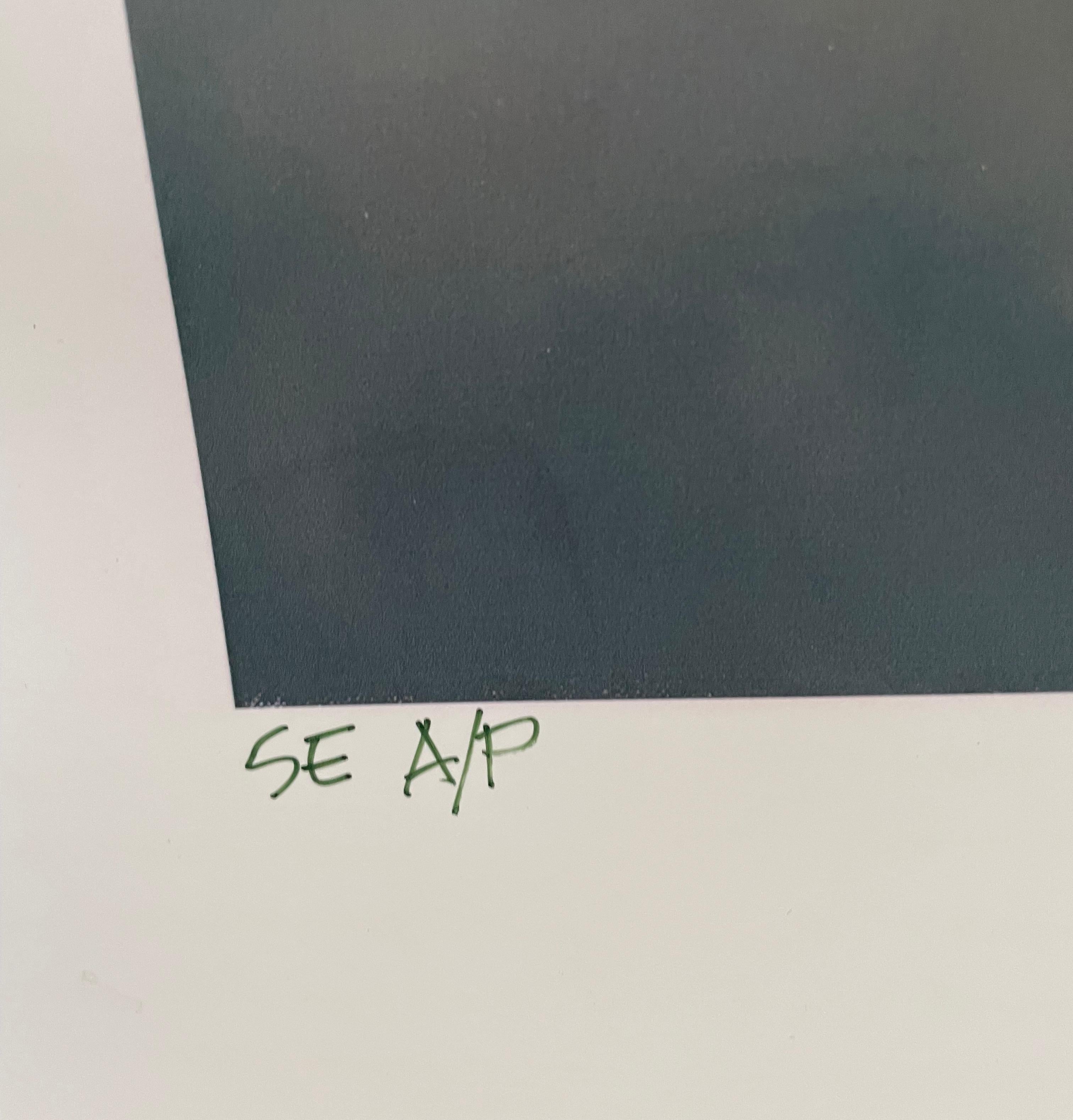 Old Salty - Gray Landscape Print by Max Hayslette