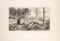 Opus IV, Simplicius in der Waldeinode - Etching by Max Klinger - 1881