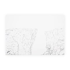 "Canyon" Contemporary Dark Gray & White Abstract Foliage Landscape Painting