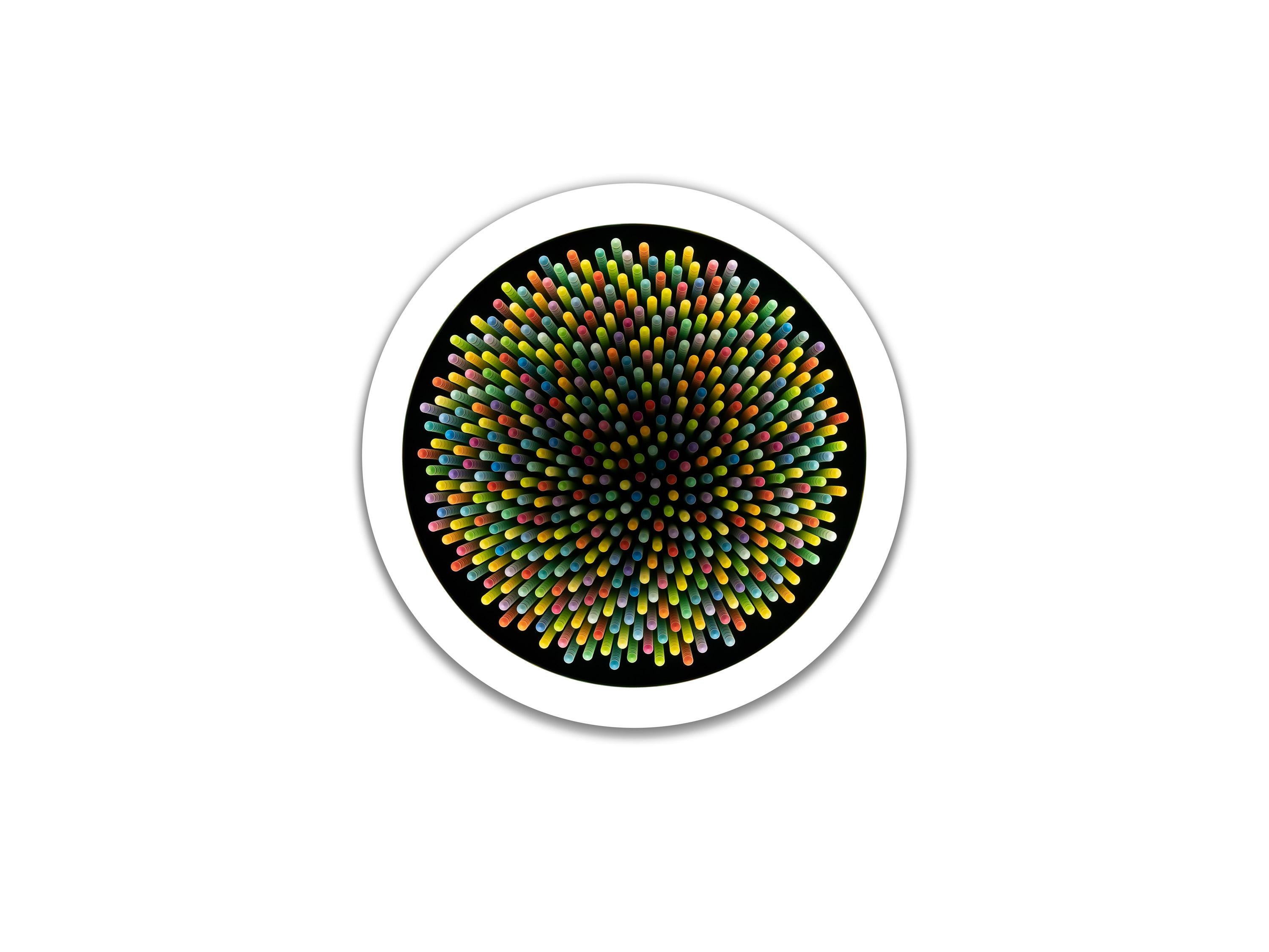 Daisy Drop For Sale 1