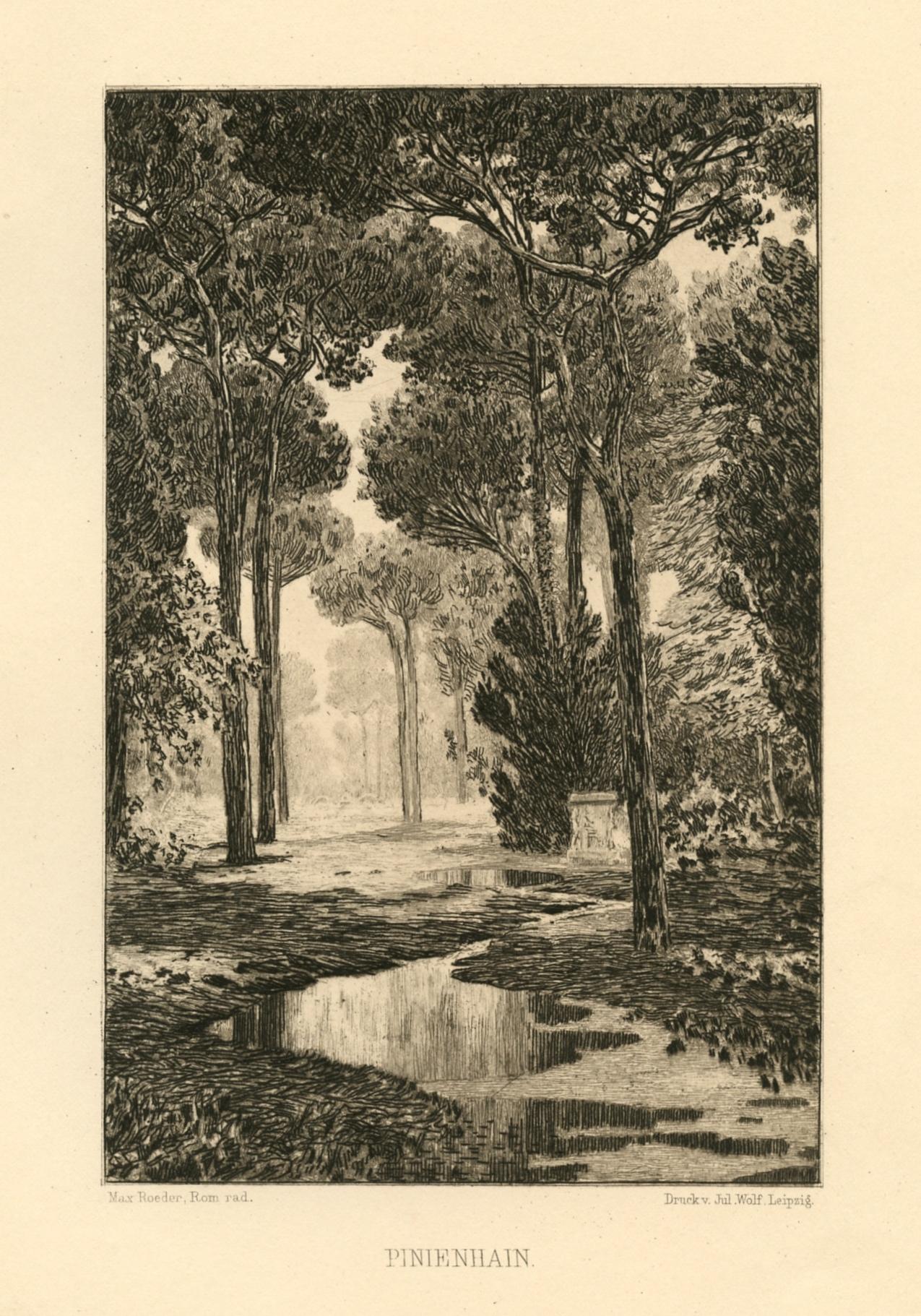 "Pinienhain" original etching - Print by Max Roeder