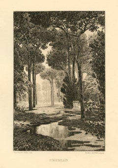"Pinienhain" original etching
