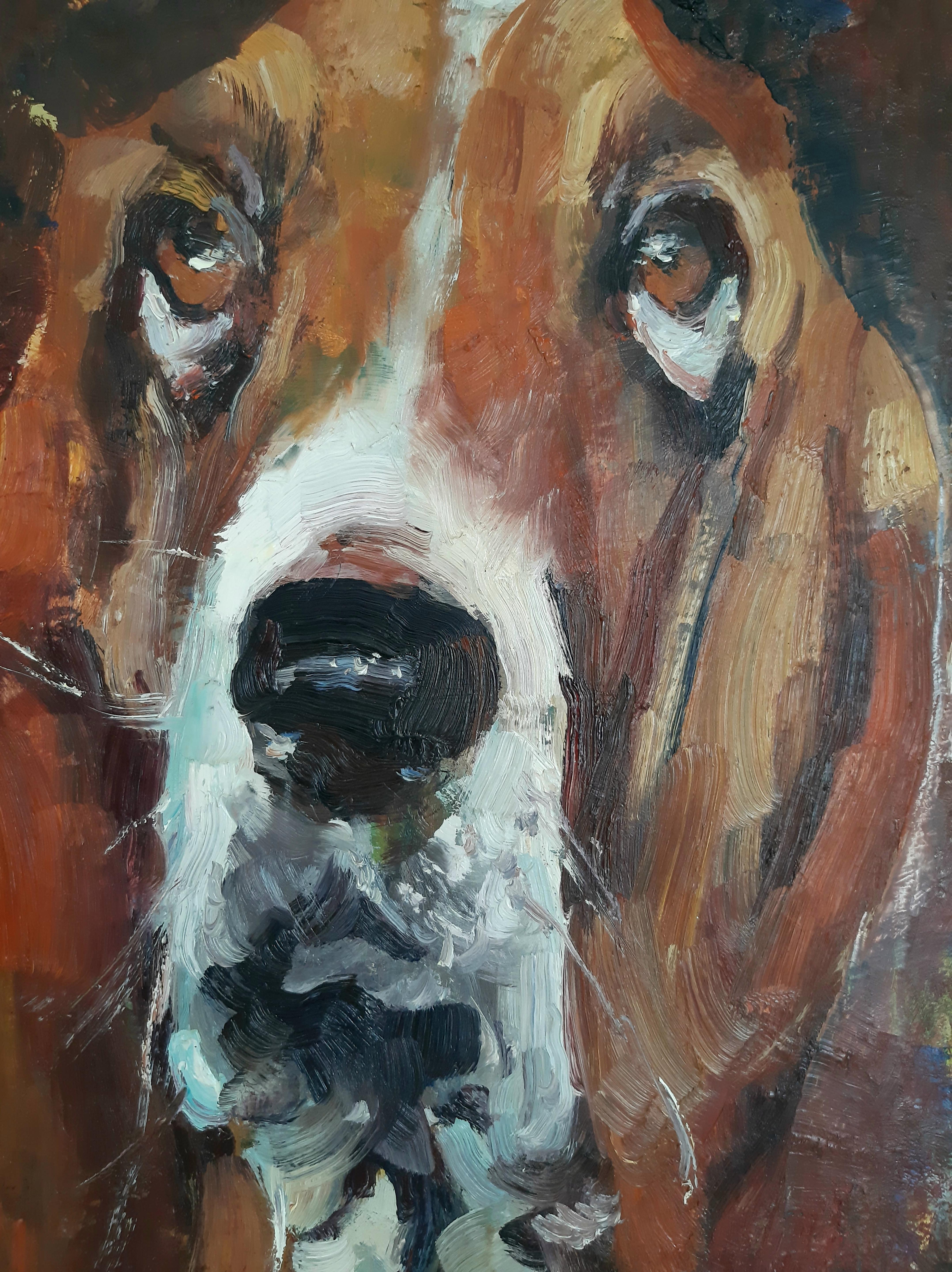 In this oil painting, a portrait of a Basset Hound stands before us, its gaze directed straight at us. Embedded within this gaze is a silent question, as if the dog wishes to convey something of importance to us. The dog's eyes radiate tranquility,