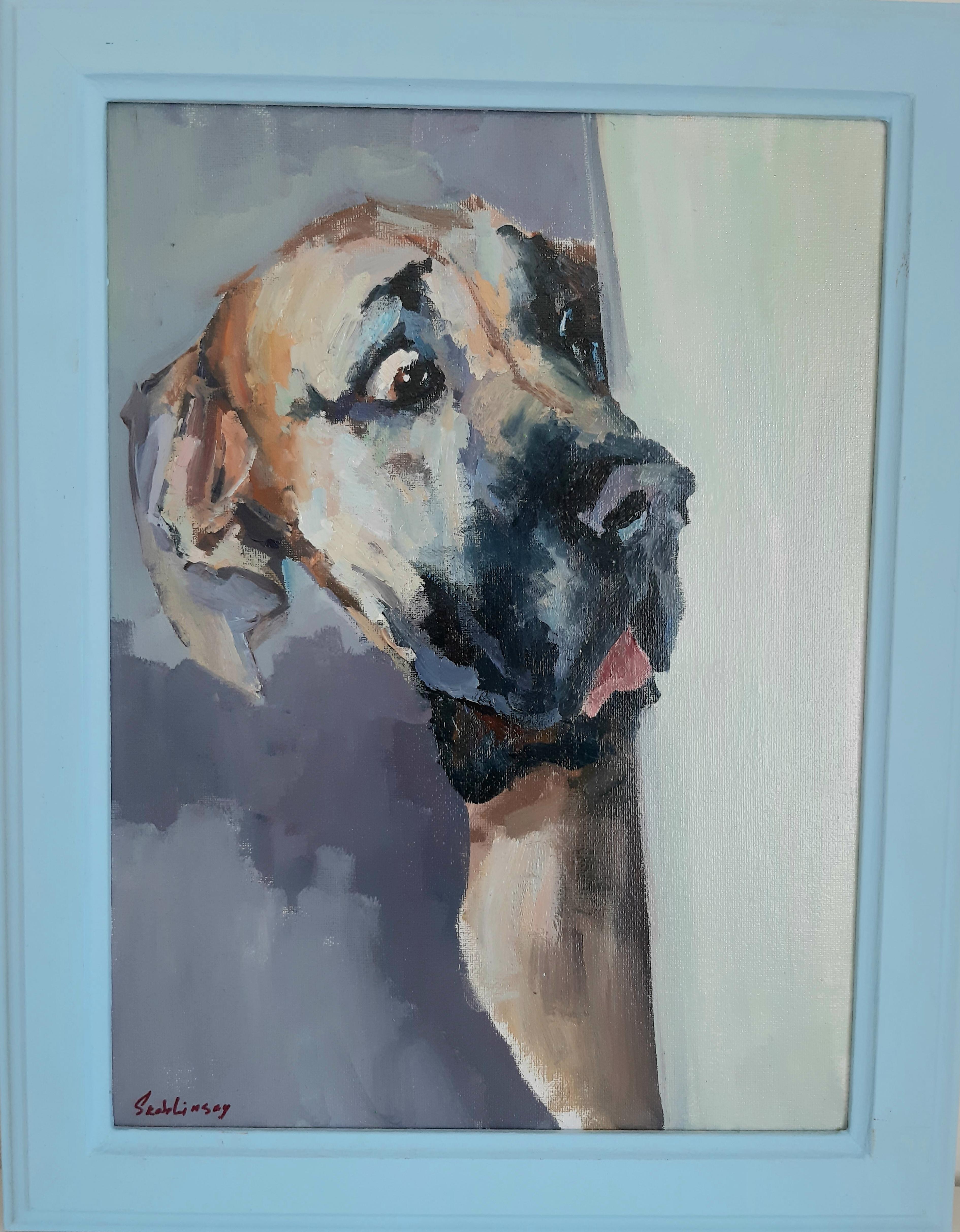 Reflection of Amazement: Canine Gaze at What's Happening" .Print on Canvas. DOG.