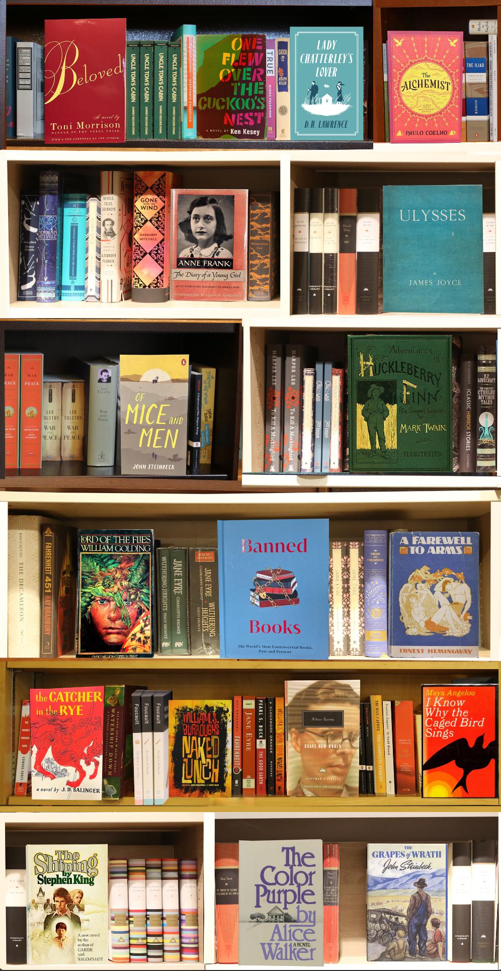 Max Steven Grossman Color Photograph – Banned Books V.