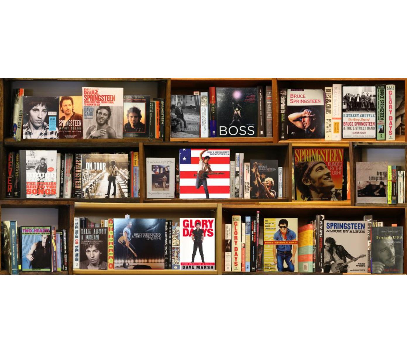Boss (Bruce Springsteen) 3/5 BookScape by Max Steven Grossman 

Individually photographed books and bookshelves. Featuring Bruce Springsteen books and albums. 

In his photographic series of "Bookscapes" the assembled libraries only exist in his