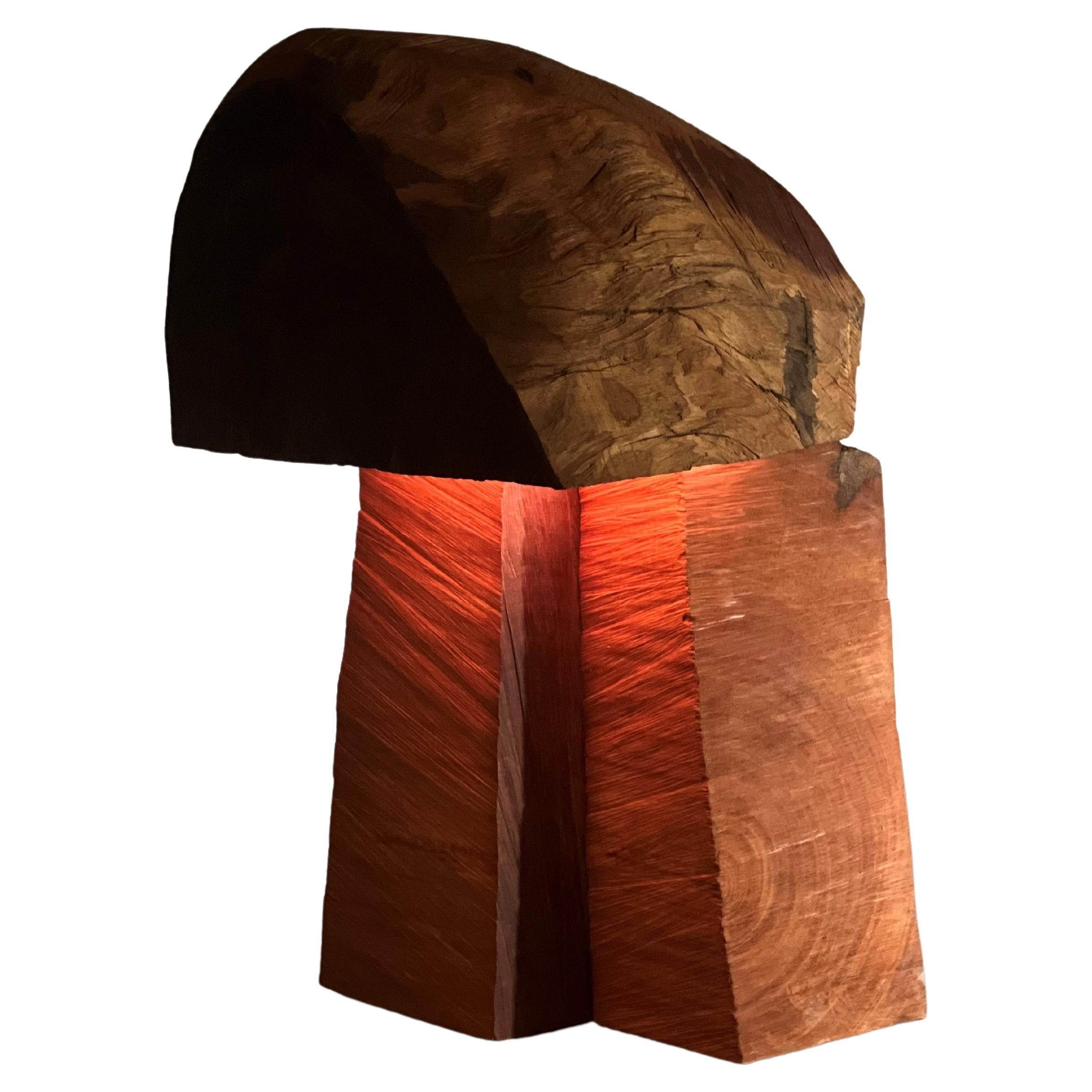 Maxed lamp by Reynold Rodriguez For Sale