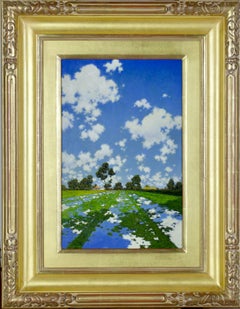 Water Let in on a Field of Alfalfa