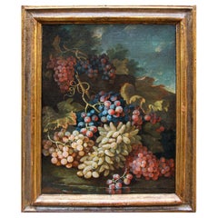 Maximilian Pfeiler (ca. 1683–1721), Stillleben mit weißen und schwarzen Trauben