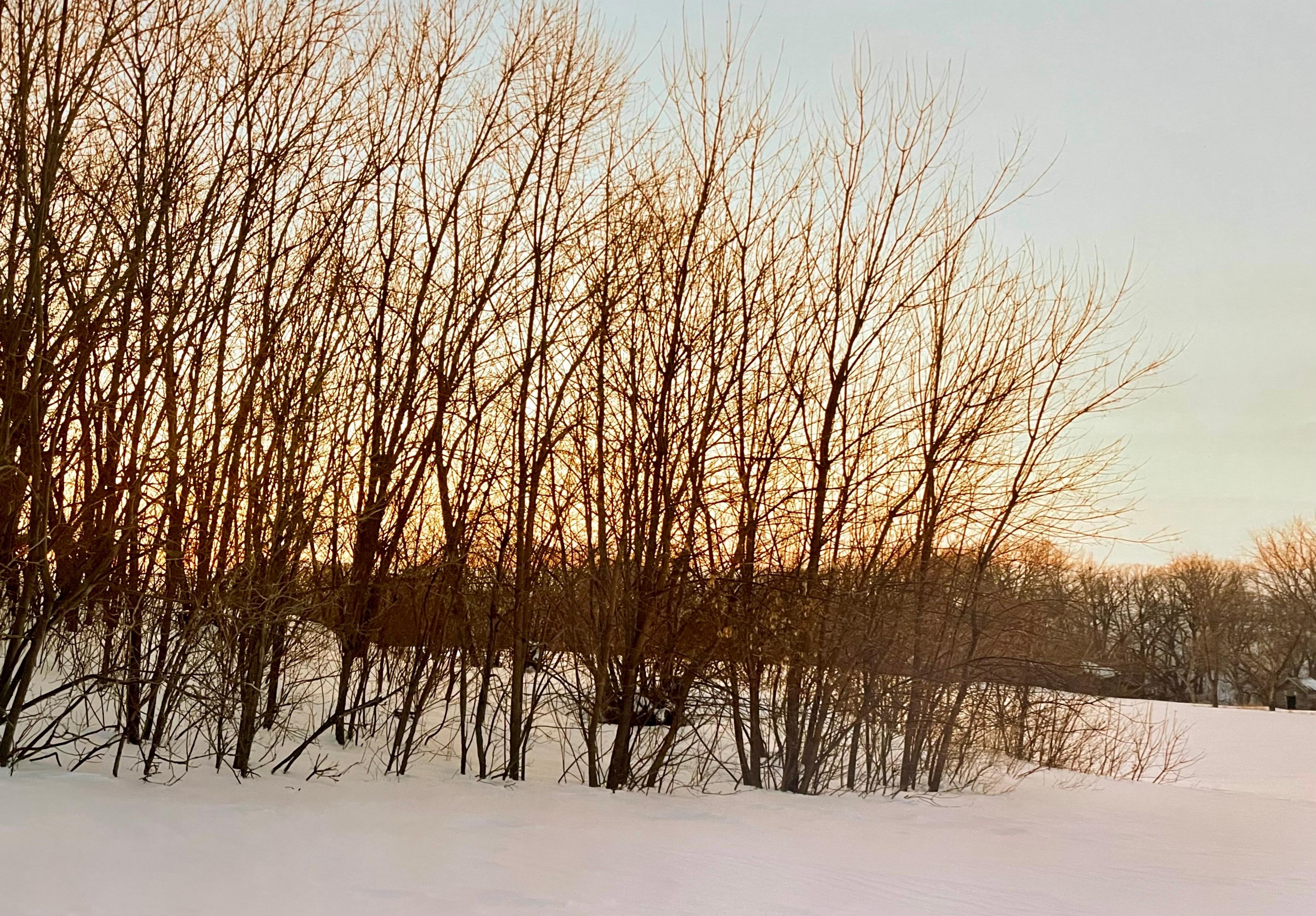 Favolosa fotografia di paesaggio americano di una scena di paesaggio rurale. 
da una piccola edizione firmata a mano di 20 esemplari
Stampa cromogenica di grandi dimensioni su carta professionale Kodak
Le lenzuola misurano circa 30 X 56 pollici
le