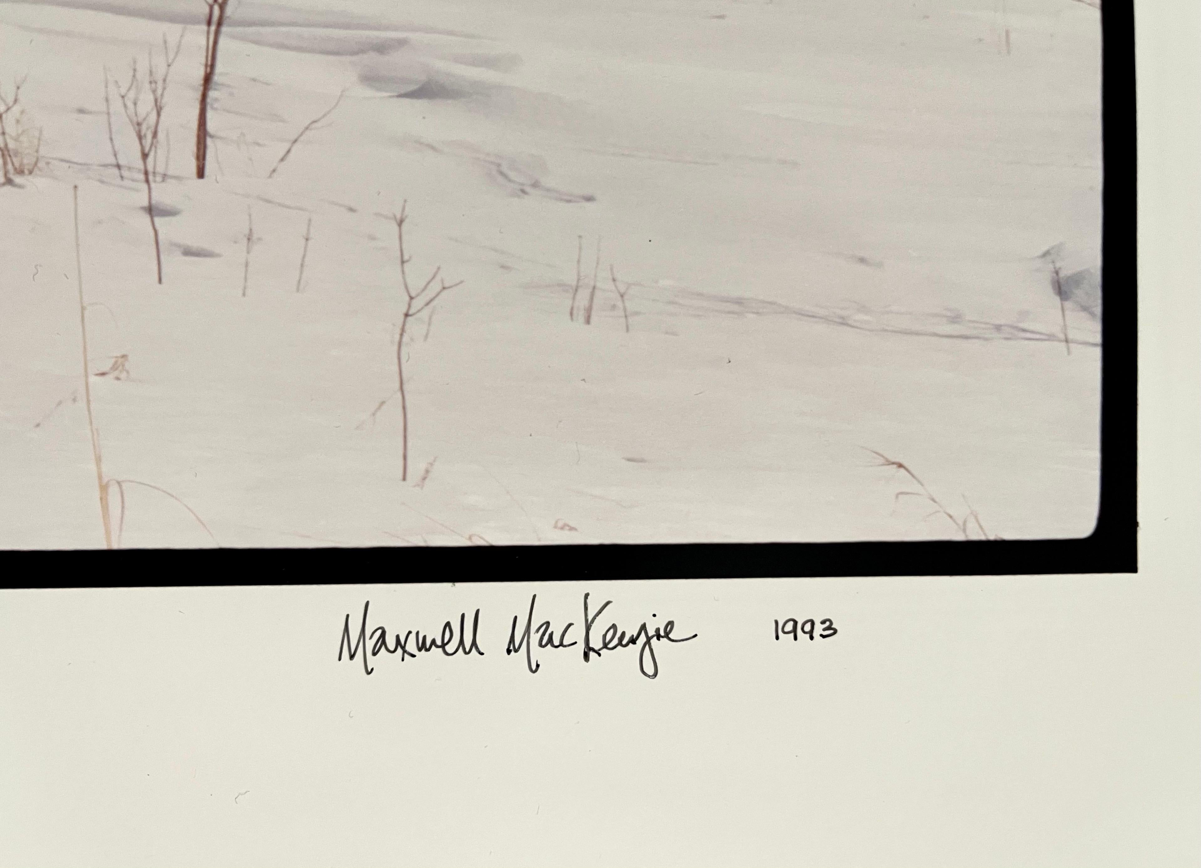 Maison d'école de Everts Township, hiver, grande photographie couleur Panoramic signée - Gris Landscape Photograph par Maxwell Mackenzie