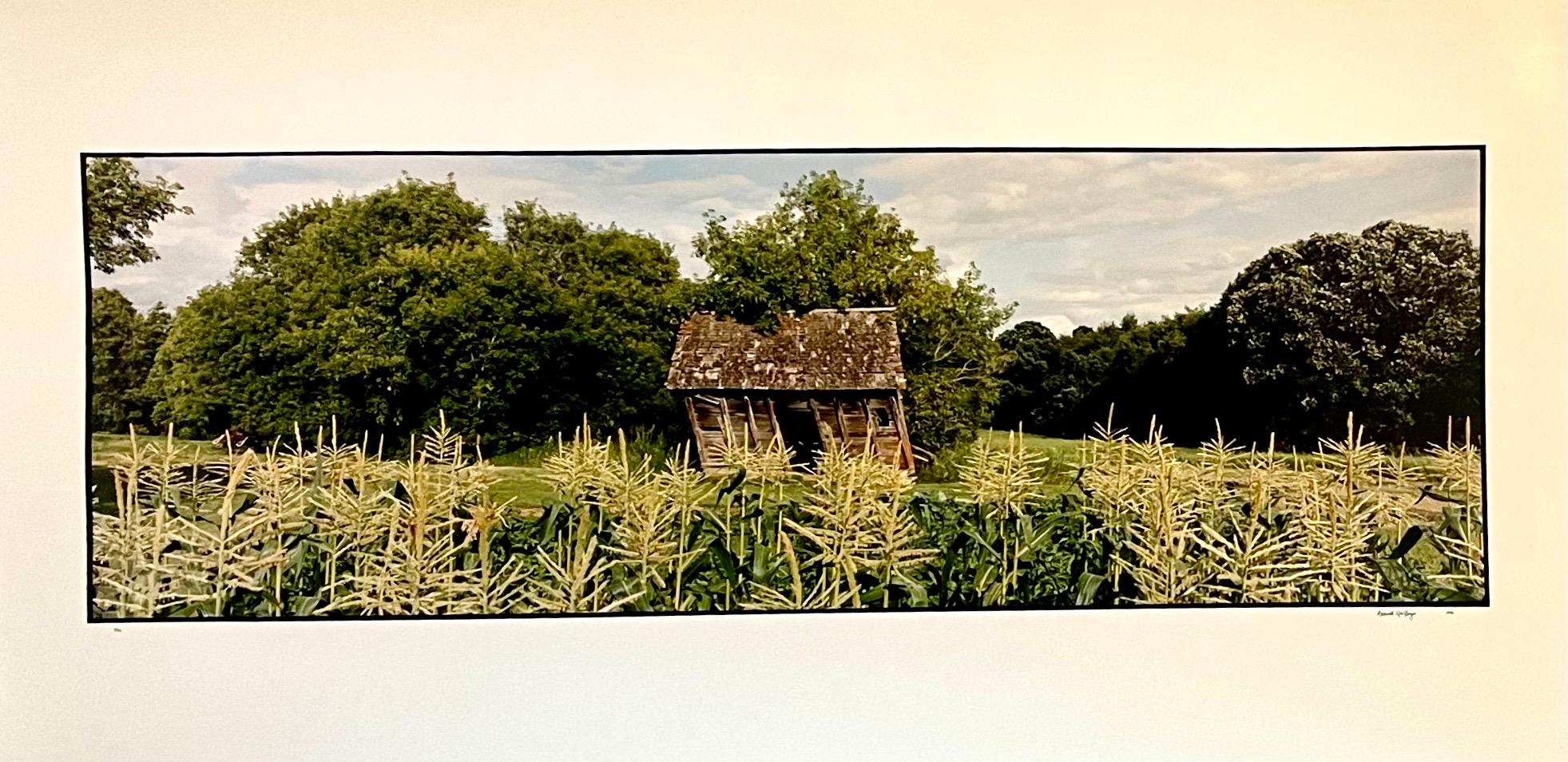 La ferme, paysage d'été, grande photographie couleur vintage en panneau, signée - Photograph de Maxwell Mackenzie