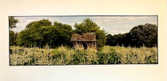Farm, Summer Landscape, Large Panoramic Vintage Color Photograph Signed Photo