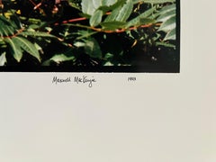 Bauernhof-Sommerlandschaft, große Panoramik-Vintage-Farbfotografie, signiertes Foto