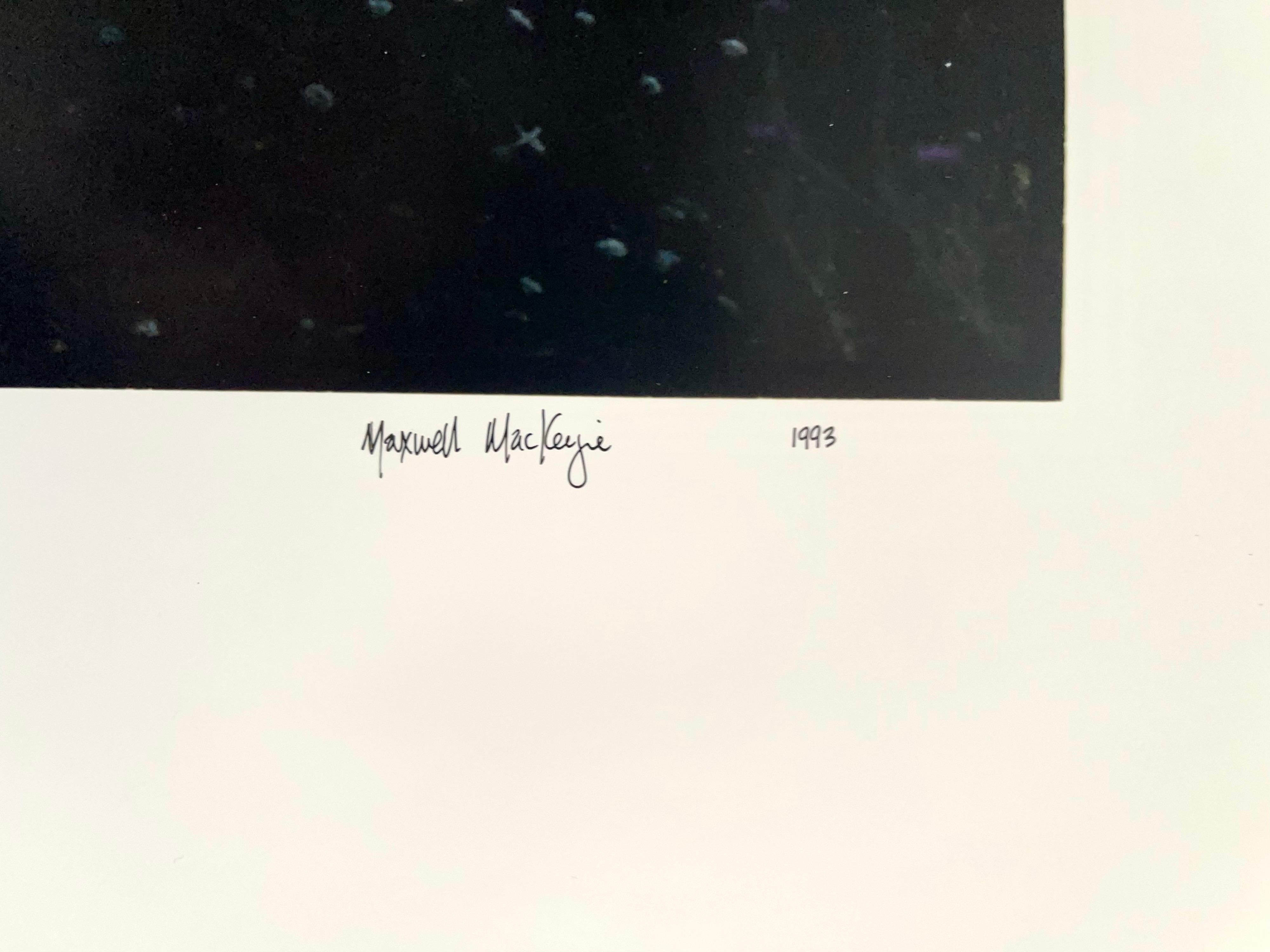 Paysage d'été de ferme, grande photographie Panoramique couleur vintage signée - Photograph de Maxwell Mackenzie