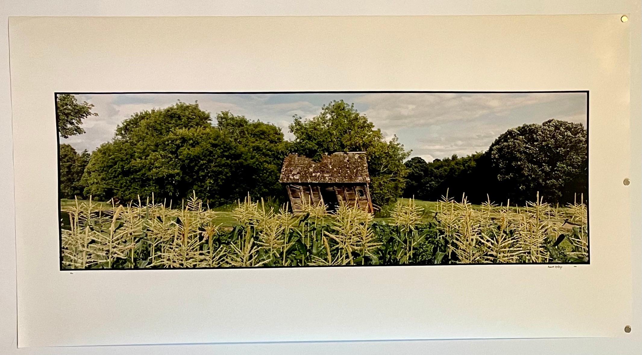 Granja, Paisaje de Verano, Gran Panorámica Fotografía Vintage en Color Firmada Foto - Photograph realista estadounidense de Maxwell Mackenzie
