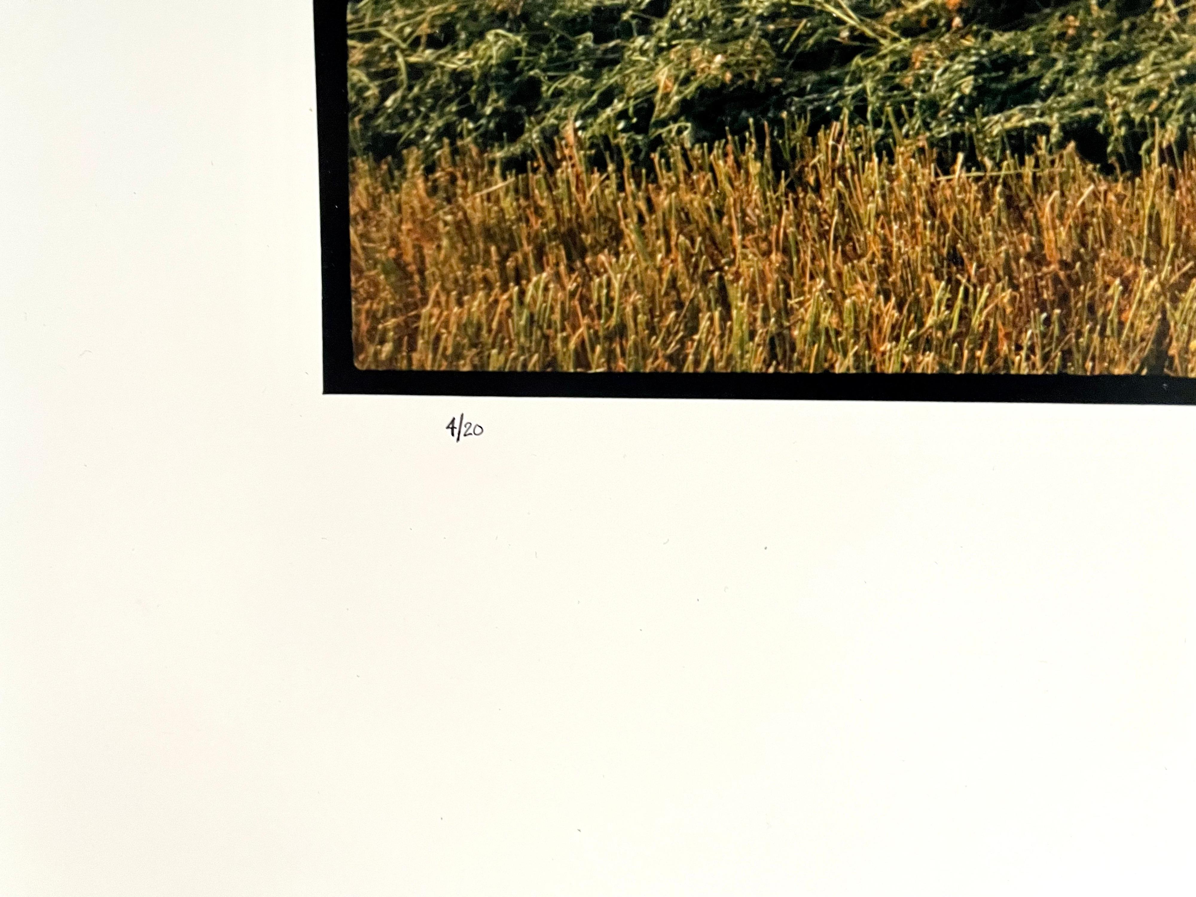 Bauernhof-Sommerlandschaft, große Panoramik-Vintage-Farbfotografie, signiertes Foto (Amerikanischer Realismus), Photograph, von Maxwell Mackenzie
