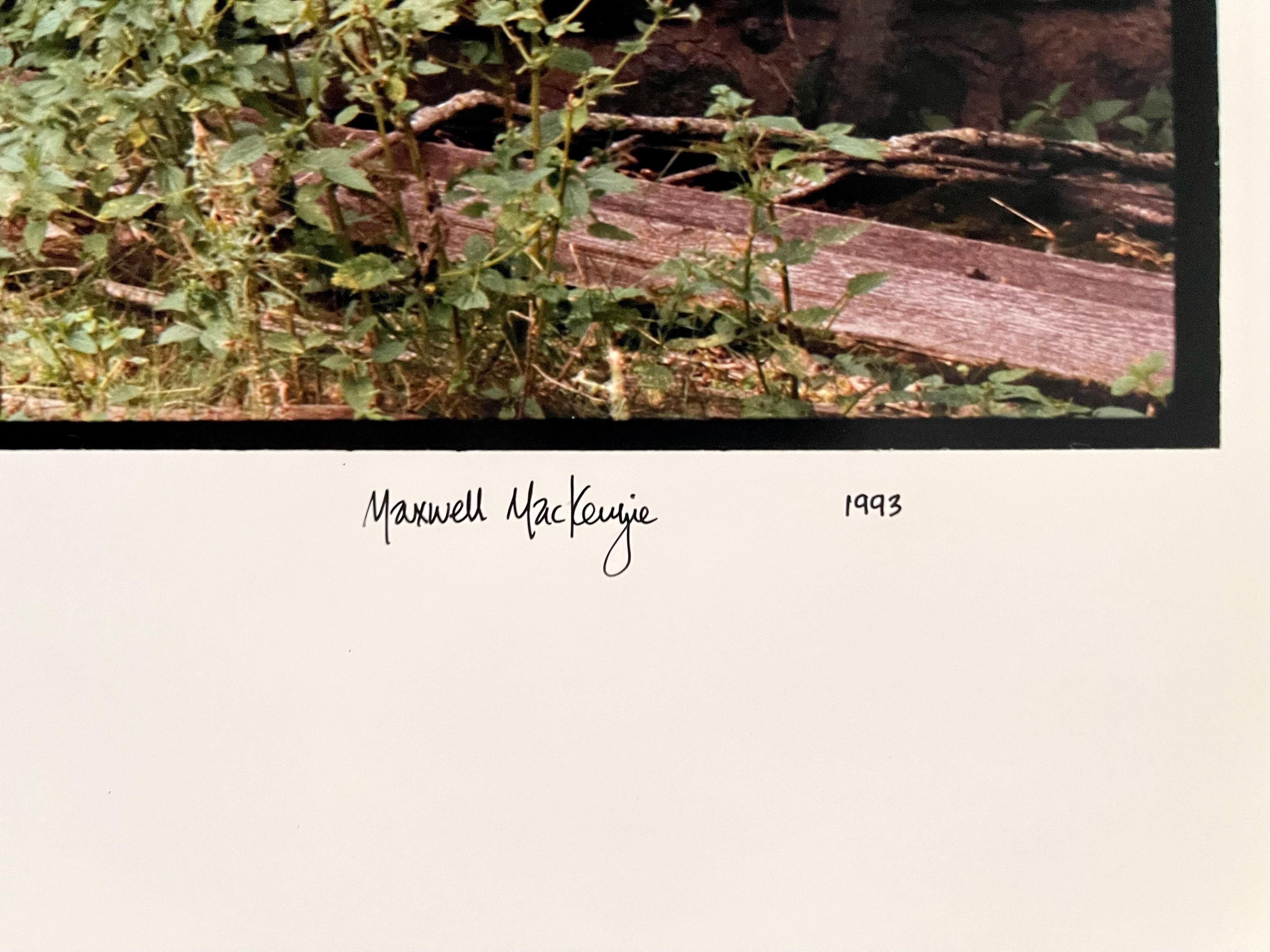 Bauernhof-Sommerlandschaft, große Panoramik-Vintage-Farbfotografie, signiertes Foto (Amerikanischer Realismus), Photograph, von Maxwell Mackenzie