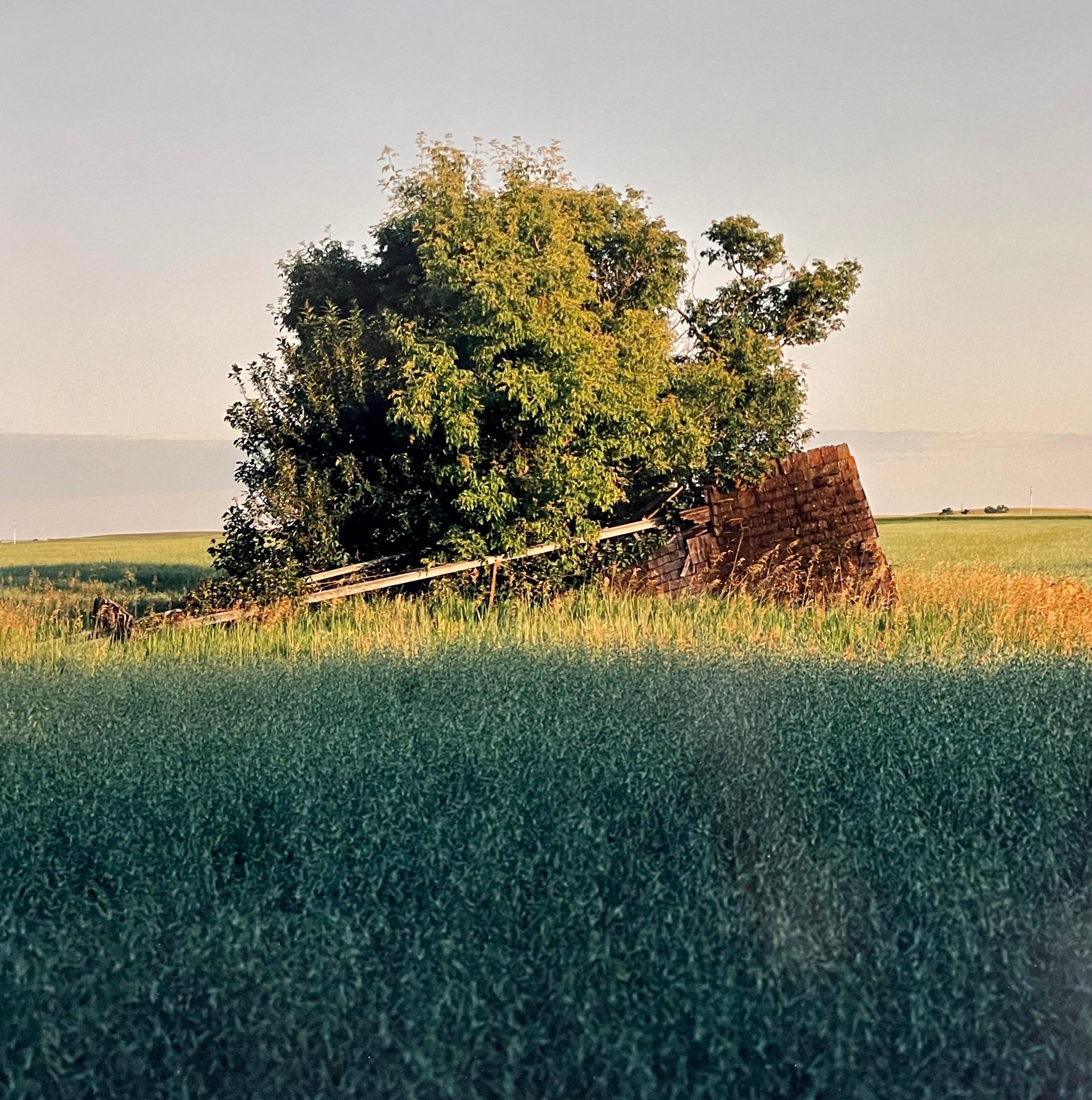 Farm, Summer Landscape, Large Panoramic Vintage Color Photograph Signed Photo 2