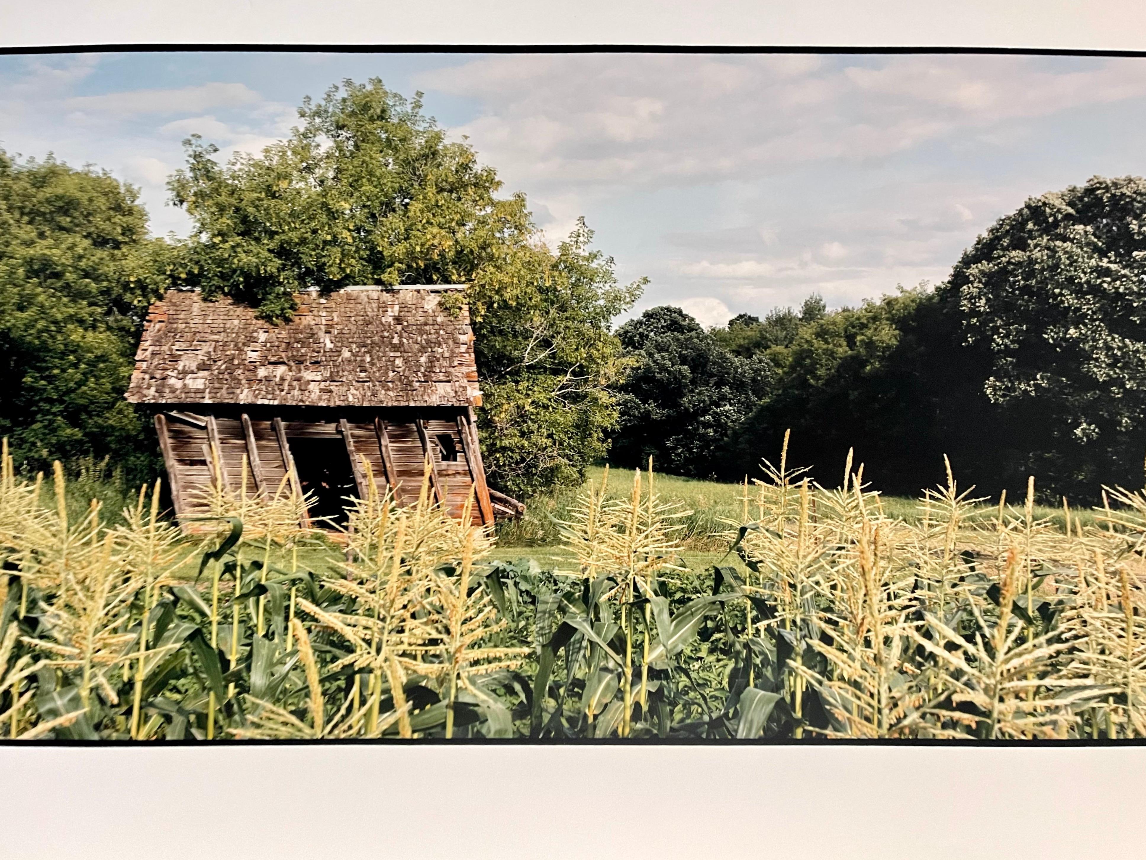 Bauernhof, Sommerlandschaft, große Panoramik-Farbfotografie, signiertes Foto (Beige), Color Photograph, von Maxwell Mackenzie