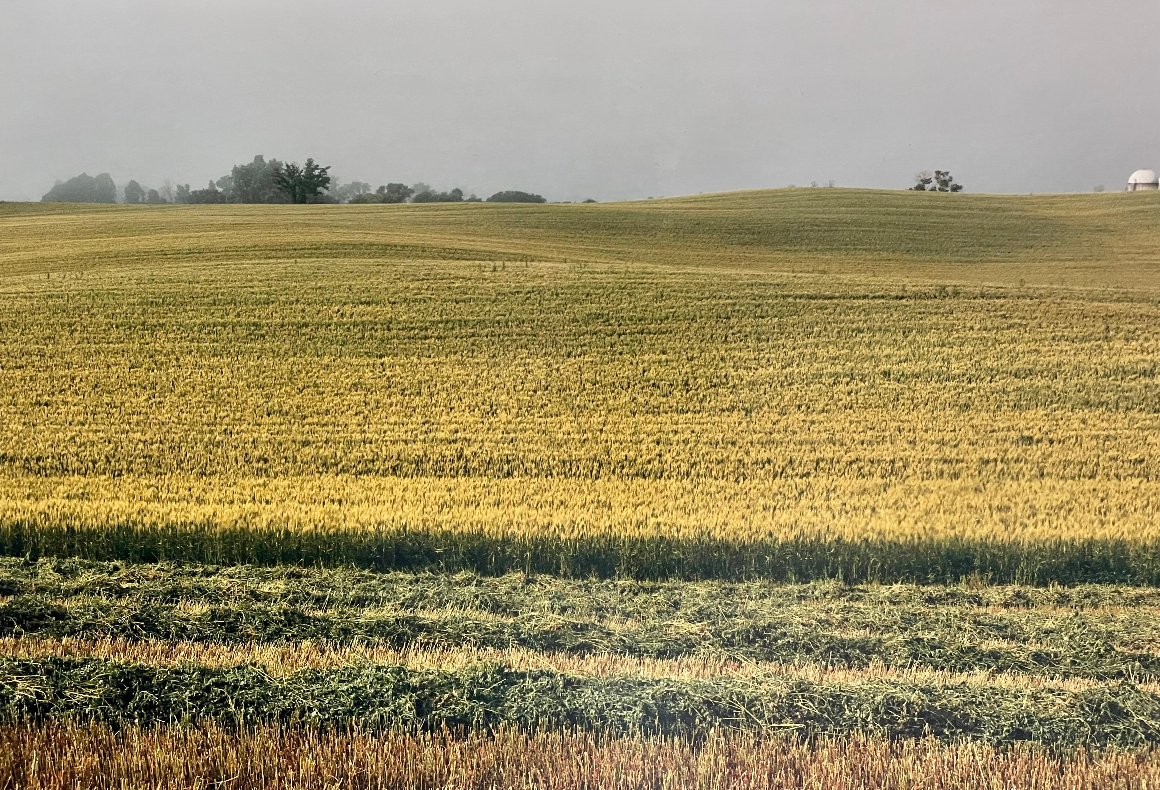 Paysage d'été de ferme, grande photographie couleur vintage en panneau, signée Photo - Beige Landscape Photograph par Maxwell Mackenzie