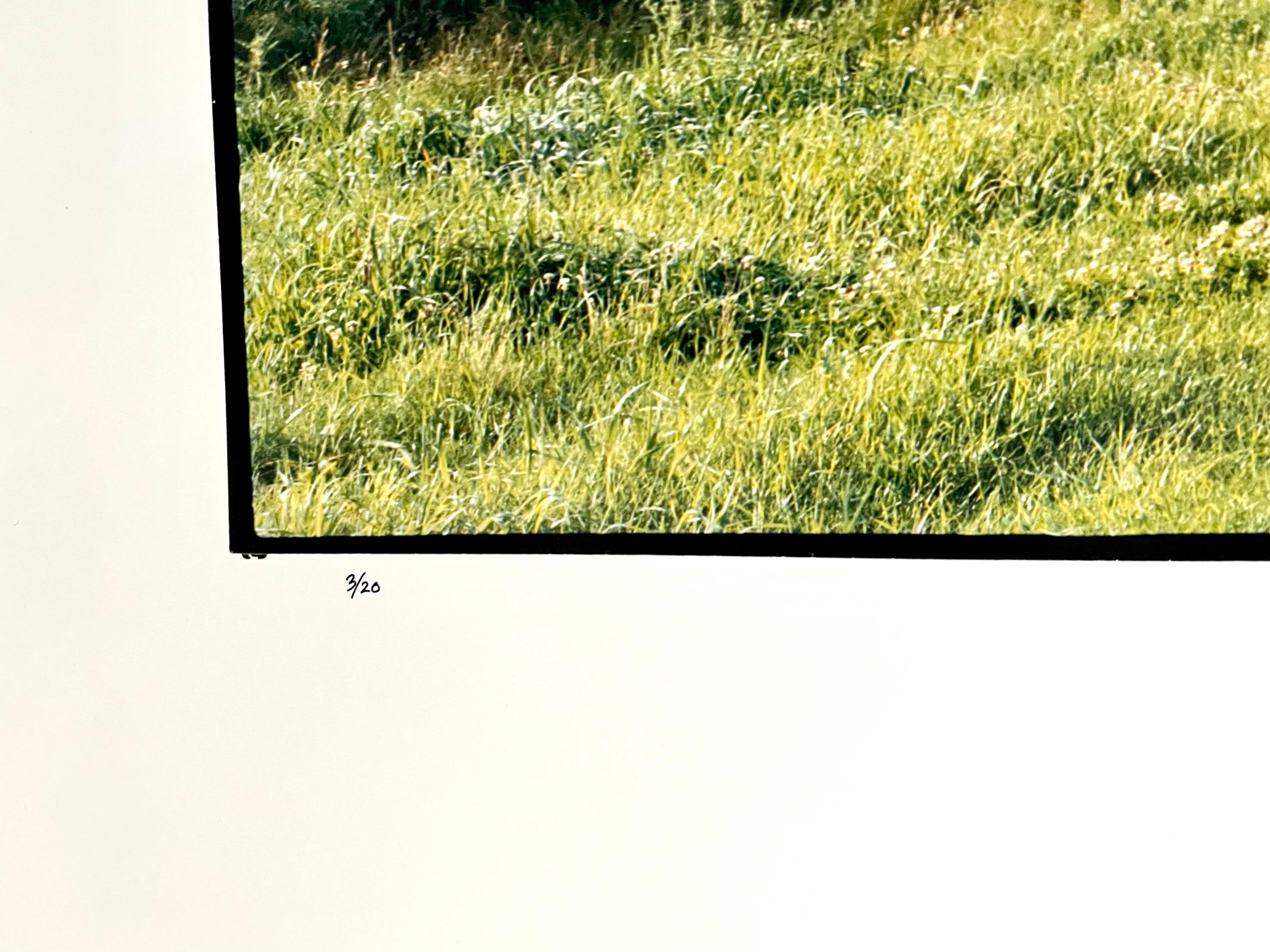 Bauernhof-Sommerlandschaft, große Panoramik-Vintage-Farbfotografie, signiertes Foto (Beige), Landscape Photograph, von Maxwell Mackenzie