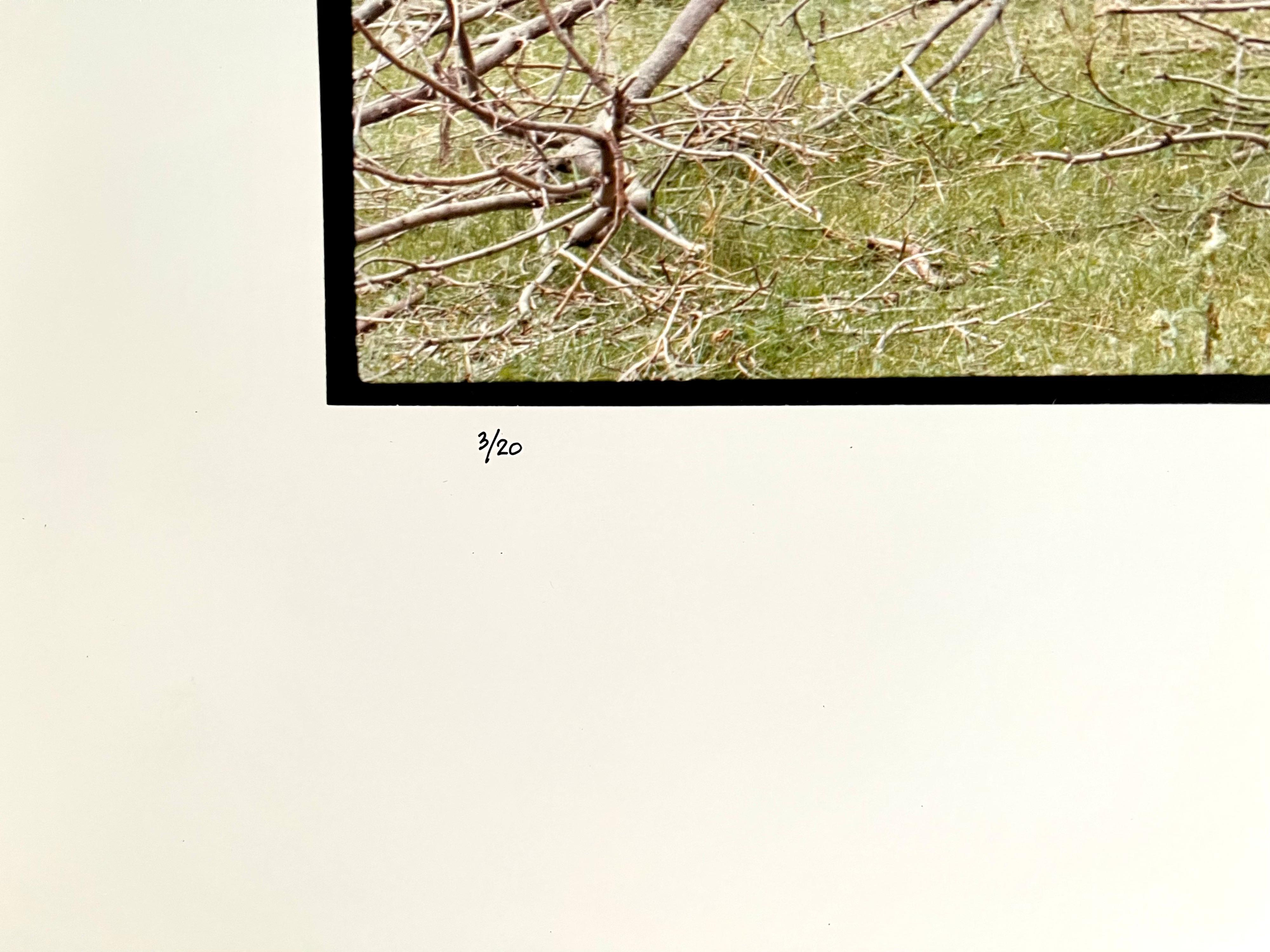 Bauernhof-Sommerlandschaft, große Panoramik-Vintage-Farbfotografie, signiertes Foto (Beige), Landscape Photograph, von Maxwell Mackenzie