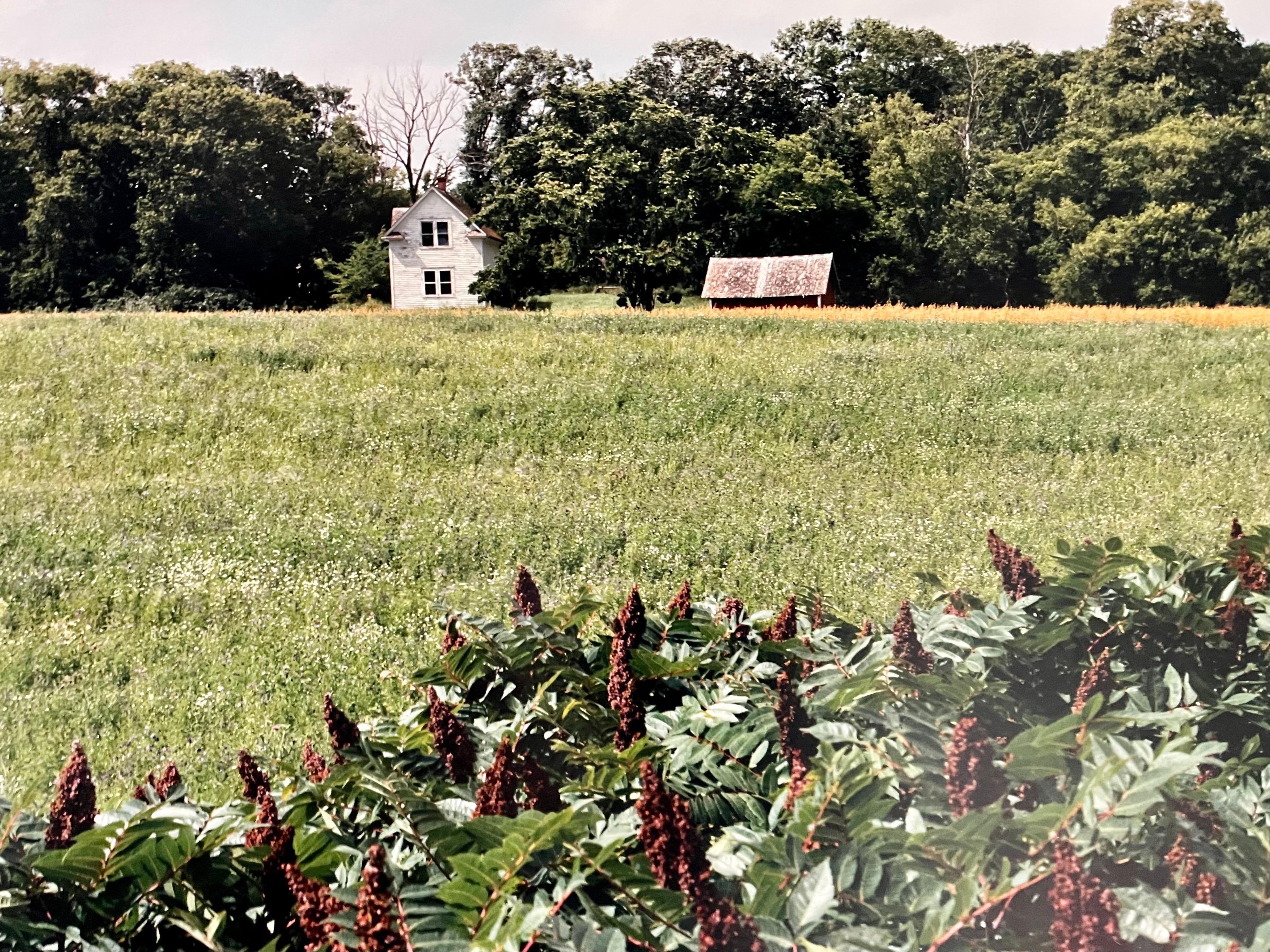 Homestead du canton d'Everts, été 1993
Fabuleuse photographie de paysage américain d'une scène de paysage rural. 
d'une petite édition de 20 exemplaires signés à la main
Tirage chromogène grand format sur papier professionnel Kodak
Les feuilles font