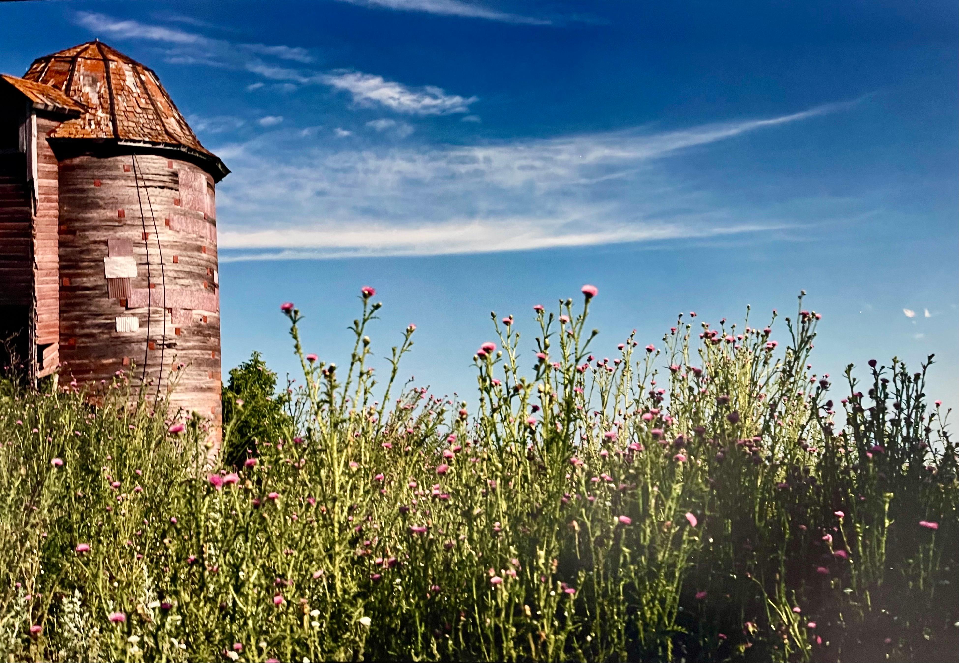 Farm Summer Landscape, Large Panoramic Vintage Color Photograph Signed Photo For Sale 1