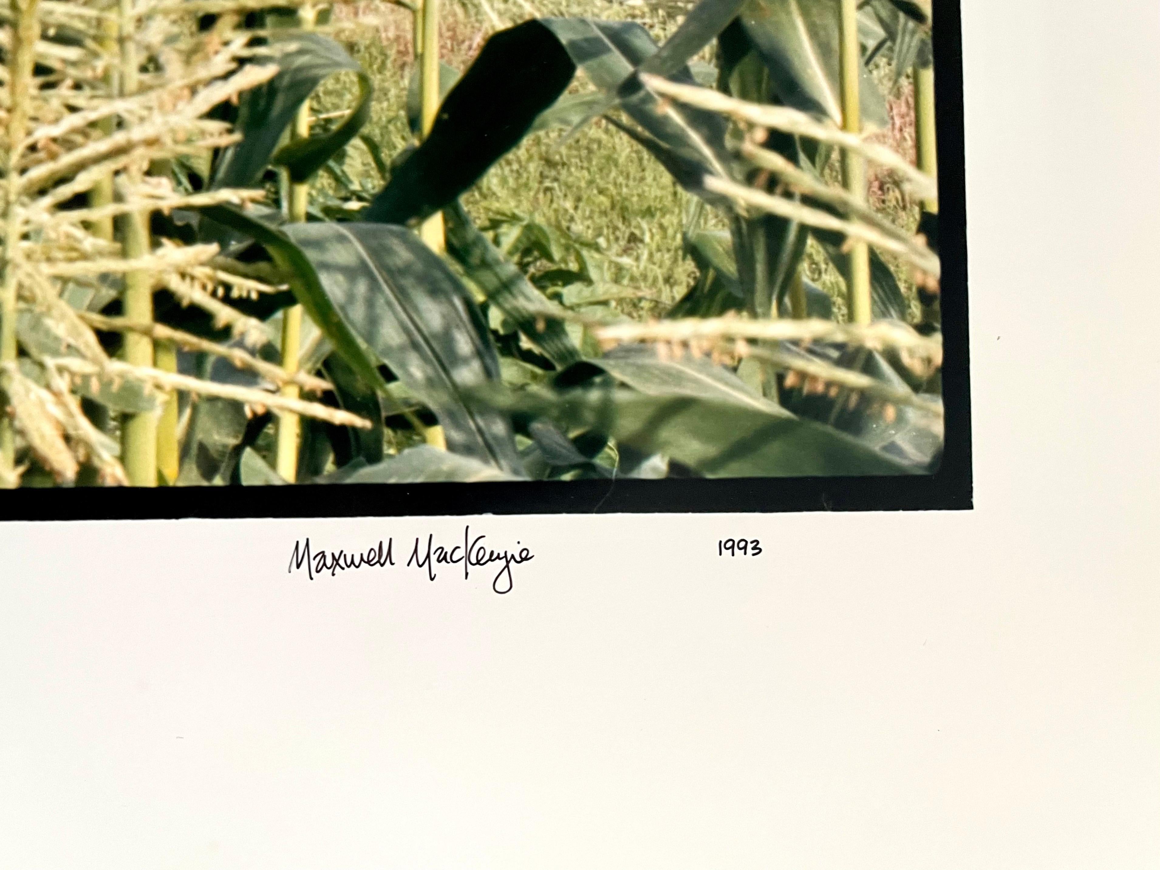 Farm, Summer Landscape, Large Panoramic Vintage Color Photograph Signed Photo For Sale 2