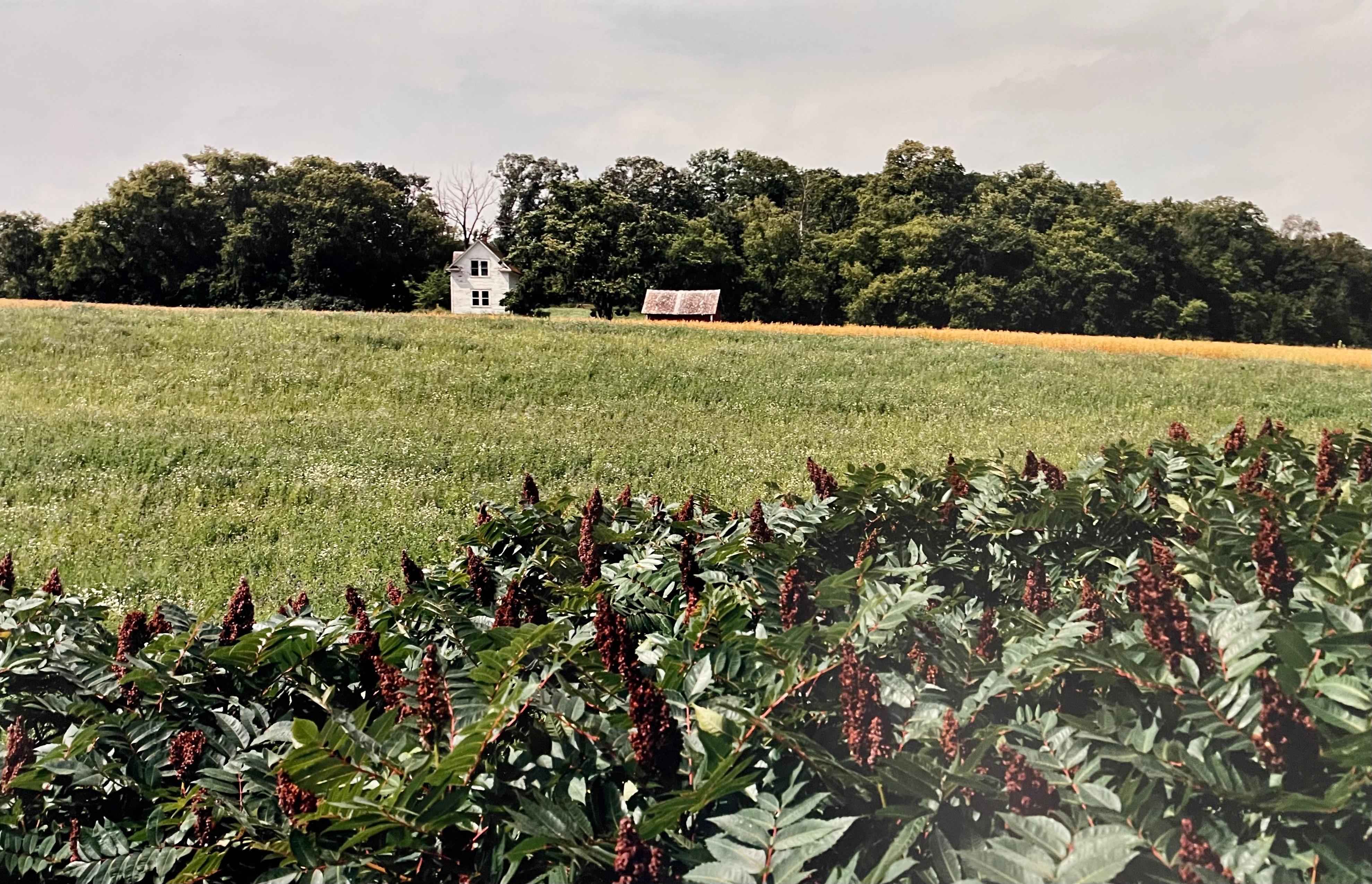 Farm Summer Landscape, Large Panoramic Vintage Color Photograph Signed Photo For Sale 3