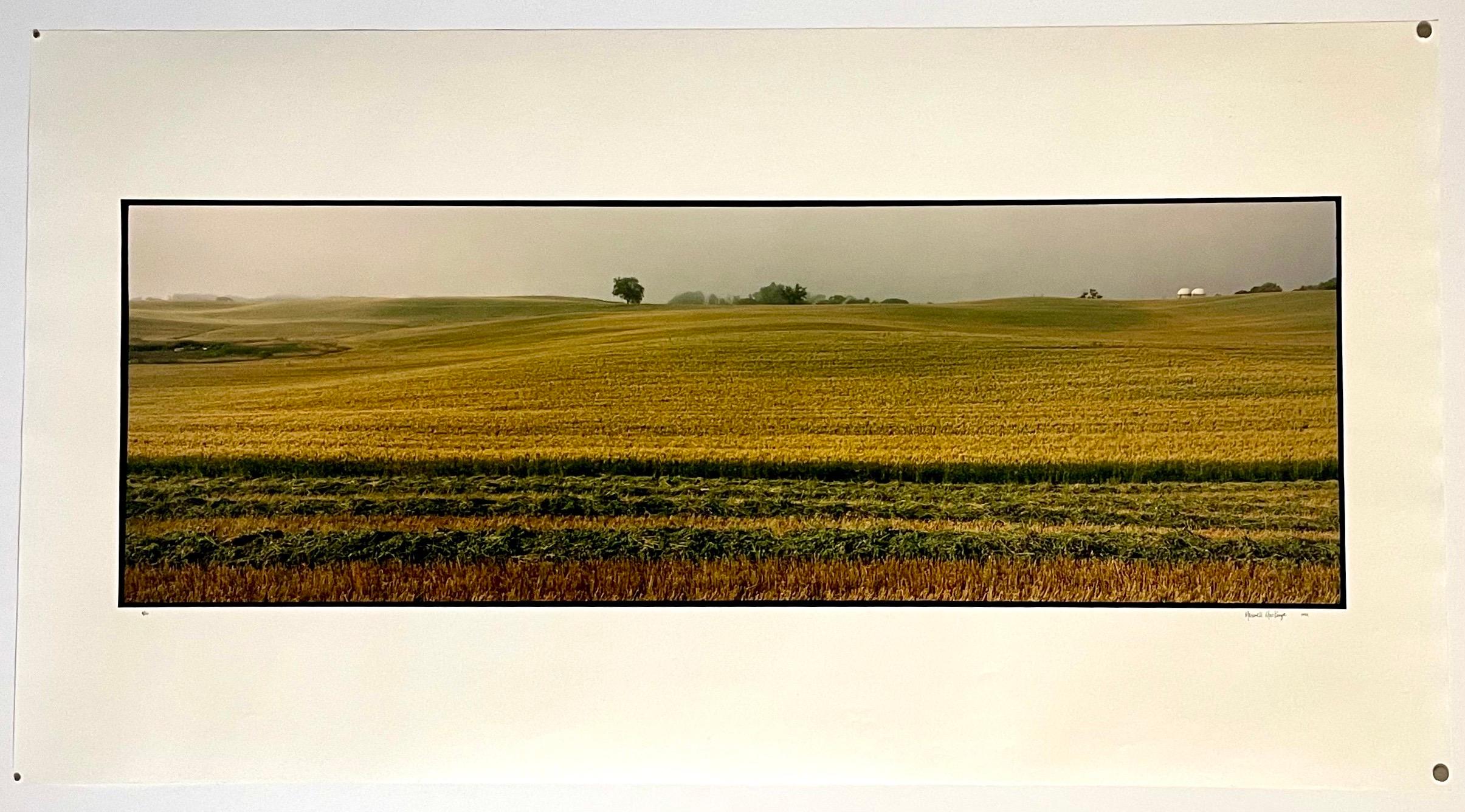 Farm Summer Landscape, Large Panoramic Vintage Color Photograph Signed Photo For Sale 1